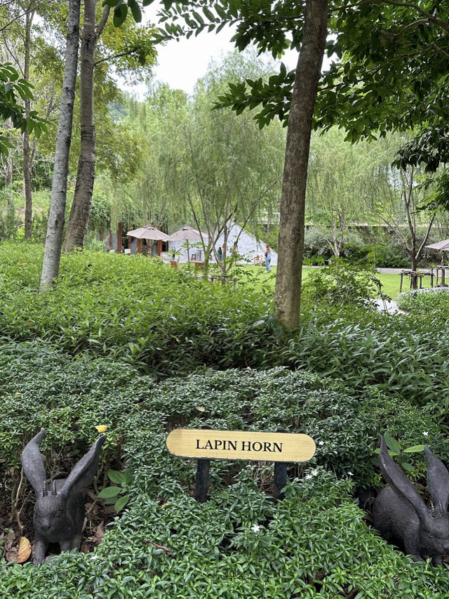 📍โรงแรมเขาใหญ่ฟีลเทพนิยายท่ามกลางธรรมชาติ