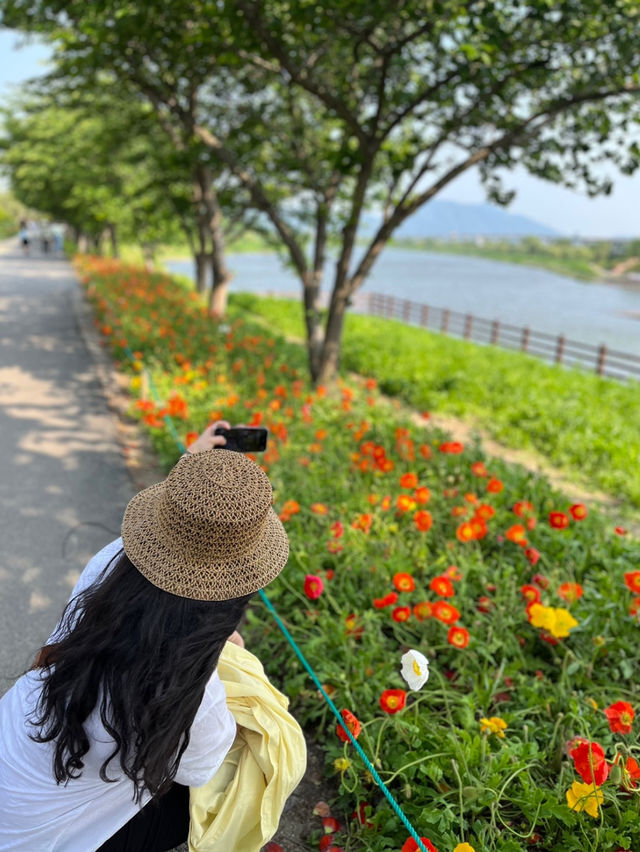 순천만 국가정원은 꼭 가봐야해요~ ⛲️