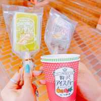 【福井】絶品アイスバー！フルーツのウメダ福井駅前本店
