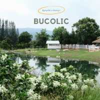 Bucolic | คาเฟ่วิวสุดปังในเขาใหญ่