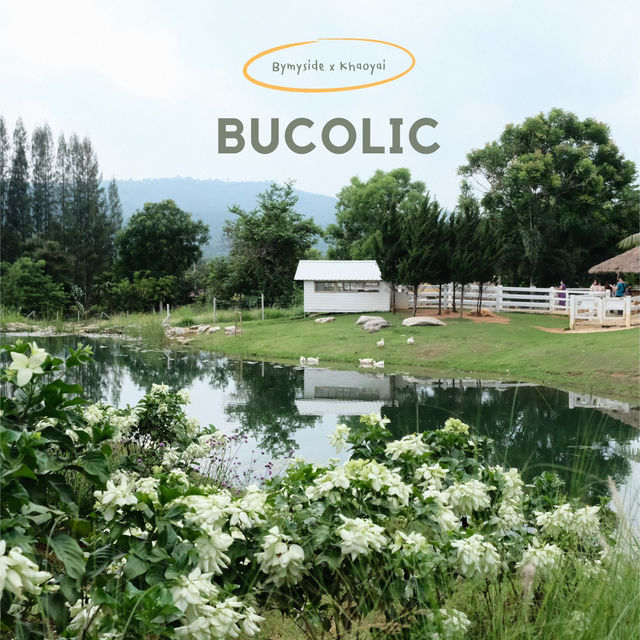 Bucolic | คาเฟ่วิวสุดปังในเขาใหญ่