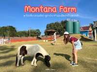 ชวนเพื่อนไปดูคาบิบาร่าที่ Montana Farm 