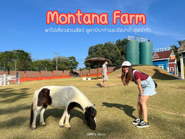 ชวนเพื่อนไปดูคาบิบาร่าที่ Montana Farm 