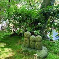 東京旅遊🍀鎌倉一日遊！長谷寺繡球花之旅