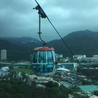 Ocean Park Hong Kong: Where Thrills Meet Marine Magic