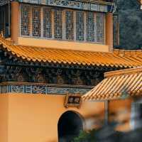 🌿靜心修行的理想之地🧘‍♂️金台寺