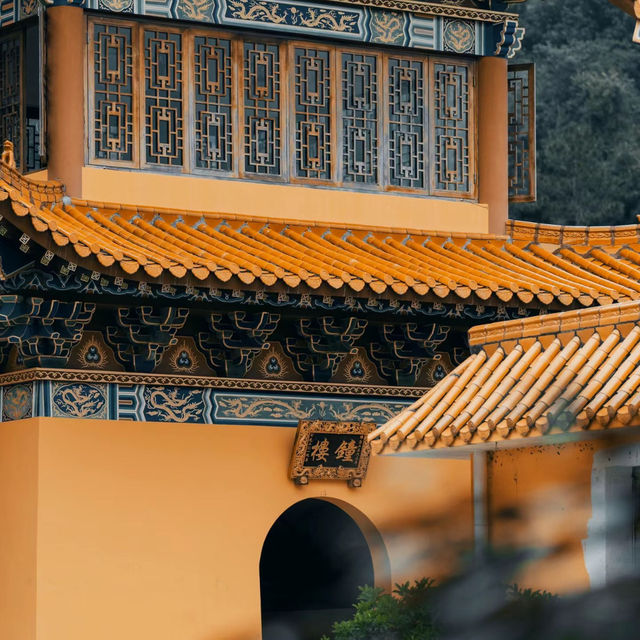 🌿靜心修行的理想之地🧘‍♂️金台寺