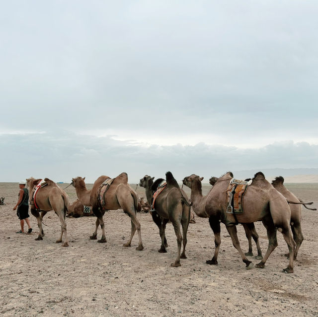 Whispers of the Desert: Conquering Khongor Sand Dunes