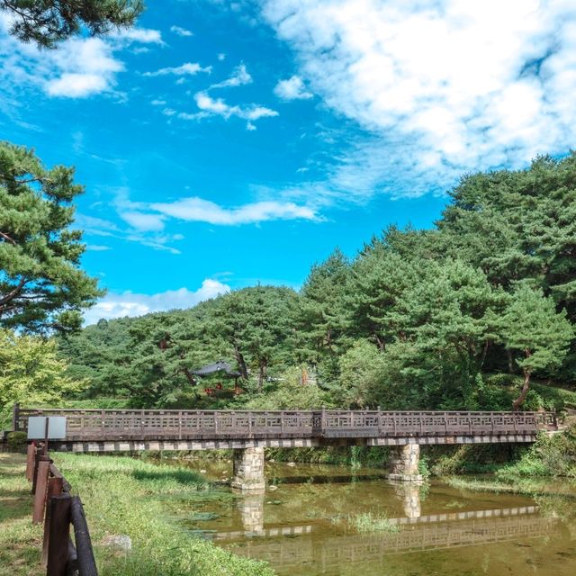 고요하고 편안한 산책