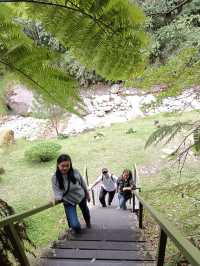 Spring Garden Kundasang, Beautiful floral and landscape