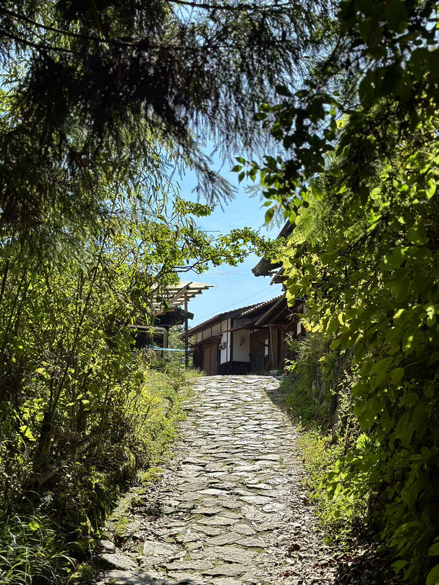 the Historic Nakasendo Trail 🥾