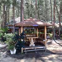 A Sanctuary of Serenity Resort