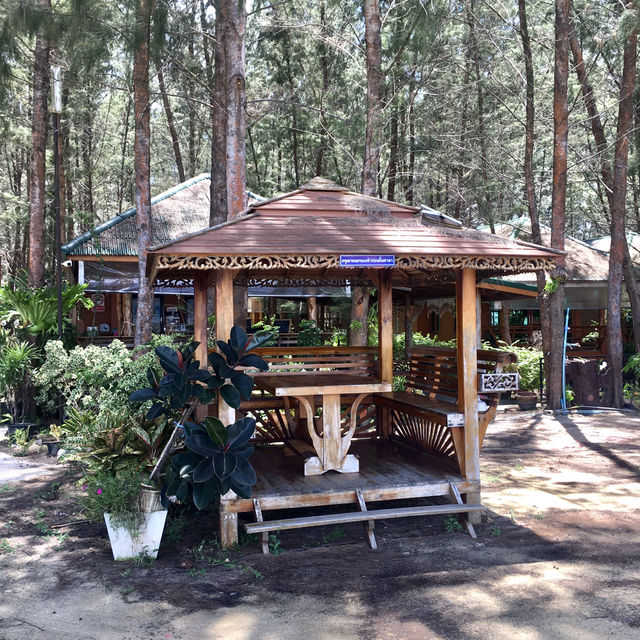 A Sanctuary of Serenity Resort