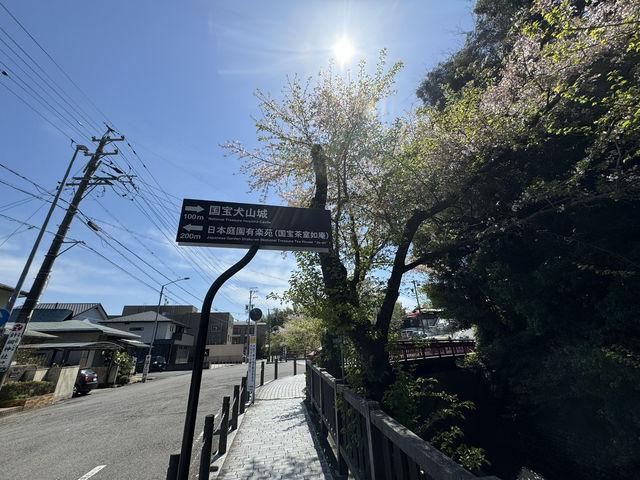 尋找櫻花·名古屋犬山城之旅