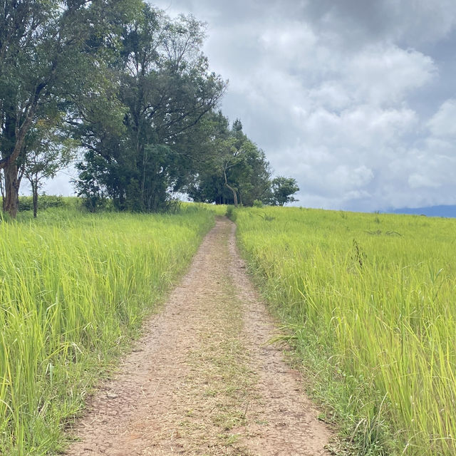 อุทยานแห่งชาติเขาใหญ่ | KHAO YAI National Park 