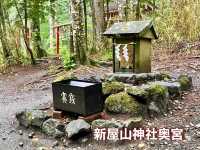 【山梨県】日本三大金運神社の1社で金運を上げてくれる場所