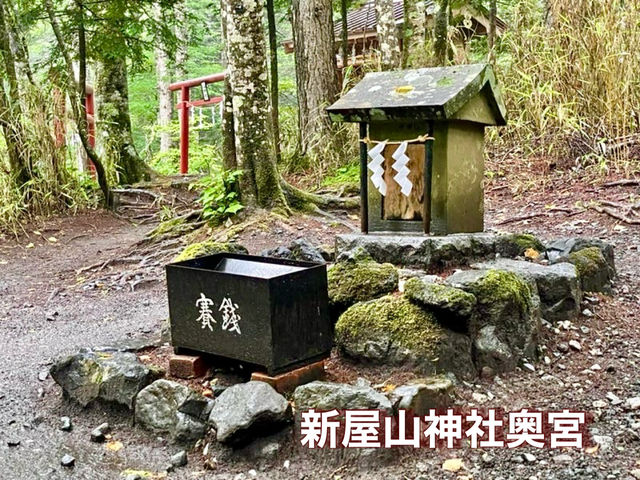 【山梨県】日本三大金運神社の1社で金運を上げてくれる場所