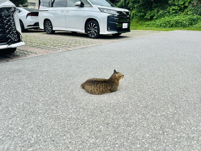 陰晴不定的瀨長島