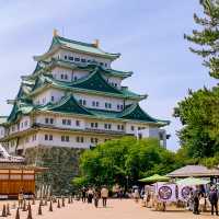 【名古屋】名古屋のシンボル！金のシャチホコ名古屋城🏯