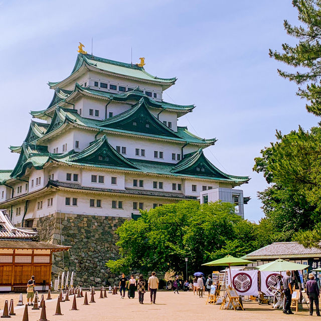 【名古屋】名古屋のシンボル！金のシャチホコ名古屋城🏯