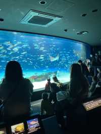 【池袋】屋上にある天空水族館🐟