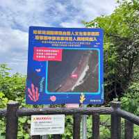 ［小琉球］是蛤板灣沙灘 🏖️也是「威尼斯海灘」🏝️