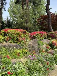 สวน byukchoji ที่พาจู