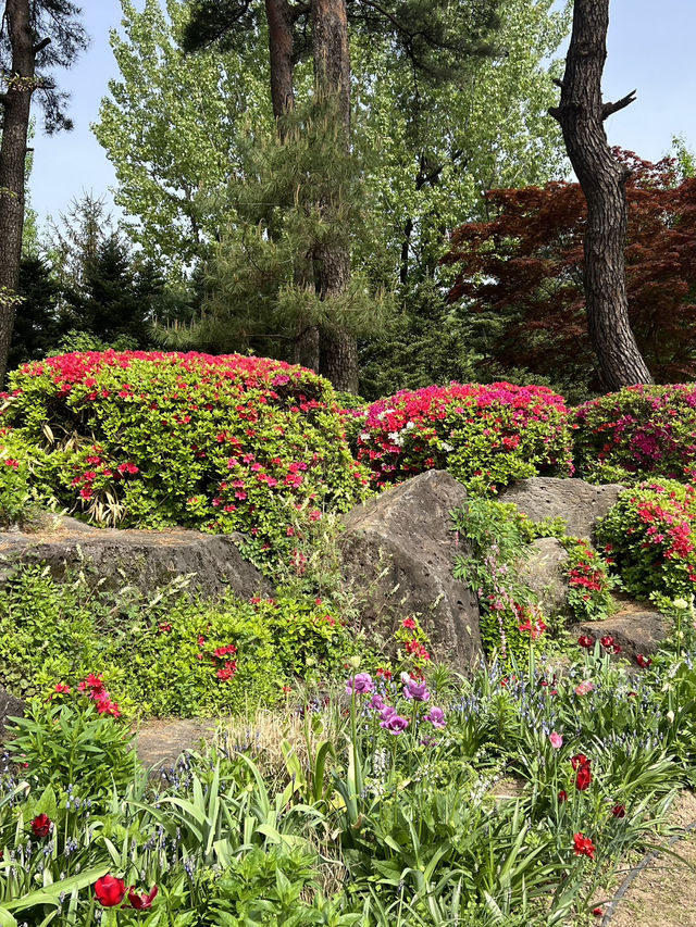 สวน byukchoji ที่พาจู