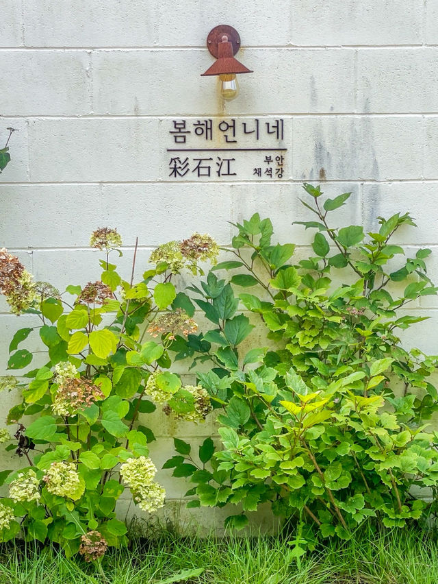한식디저트 개성주악 맛집