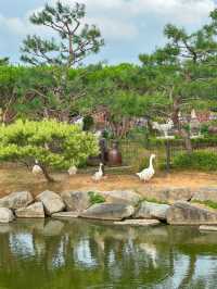 5천개의 숨쉬는 항아리가 있는 곳 <고스락>