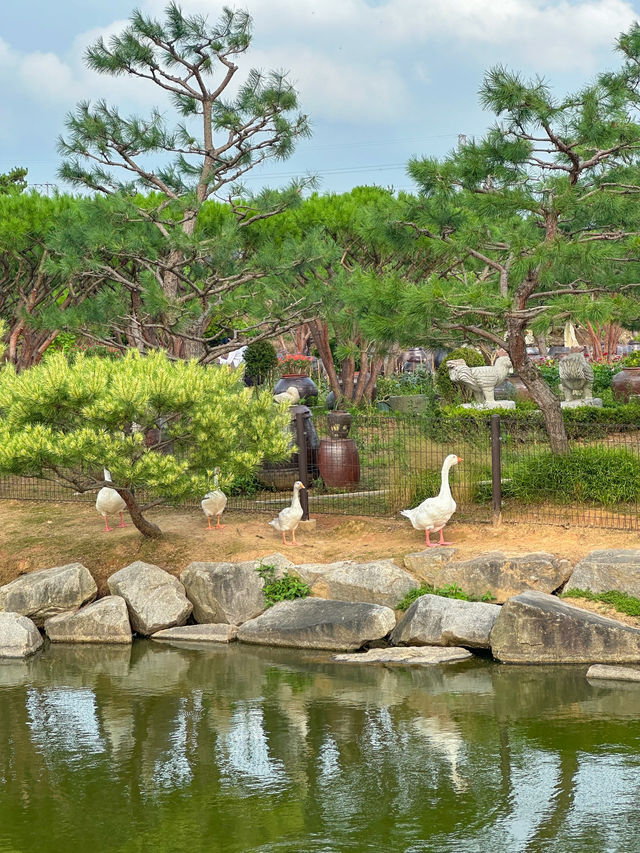 5천개의 숨쉬는 항아리가 있는 곳 <고스락>