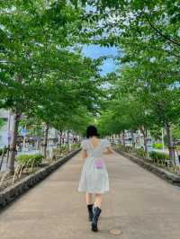 일본 가마쿠라🇯🇵 산책하기 좋은 가마쿠라🩵