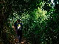 วิวเขาหลวงสุโขทัย จุดกางเต้นท์ที่คนนิยมมา🏔️🌳