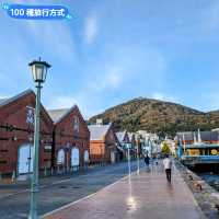 日本北海道賞楓行，道央、道南自駕遊