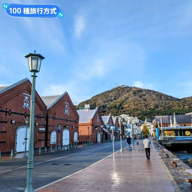 日本北海道賞楓行，道央、道南自駕遊