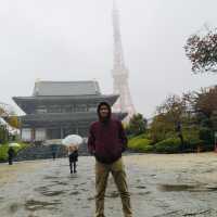 Sky-High Thrills and Picture-Perfect Moments at Tokyo Tower!