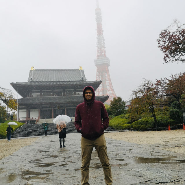 Sky-High Thrills and Picture-Perfect Moments at Tokyo Tower!