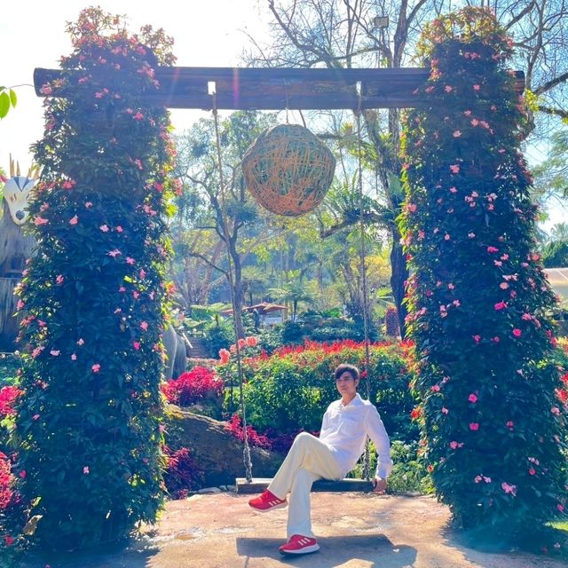ชมดอกไม้สวย สวนแม่ฟ้าหลวง ดอยตุง