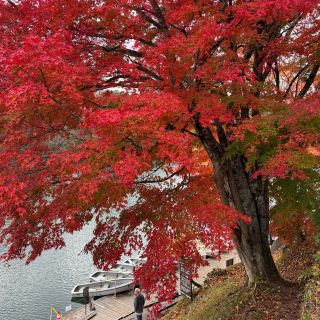 Tokyo Suburbs Choice - Goshikinuma Ponds for Autumn Leaves Viewing.