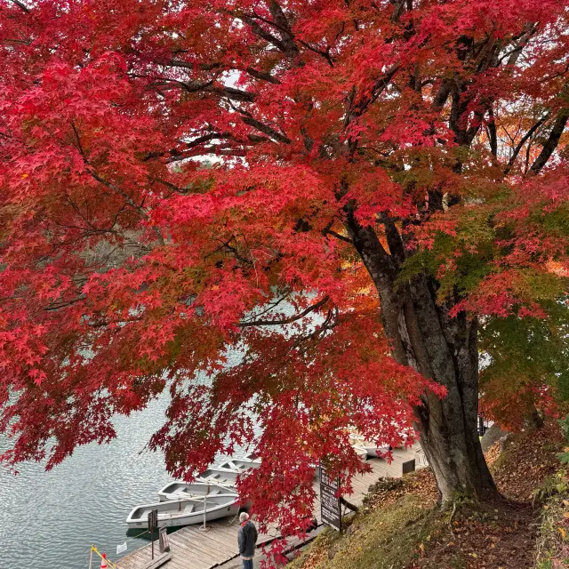 東京近郊の選択-五色沼湖沼群で紅葉狩り。