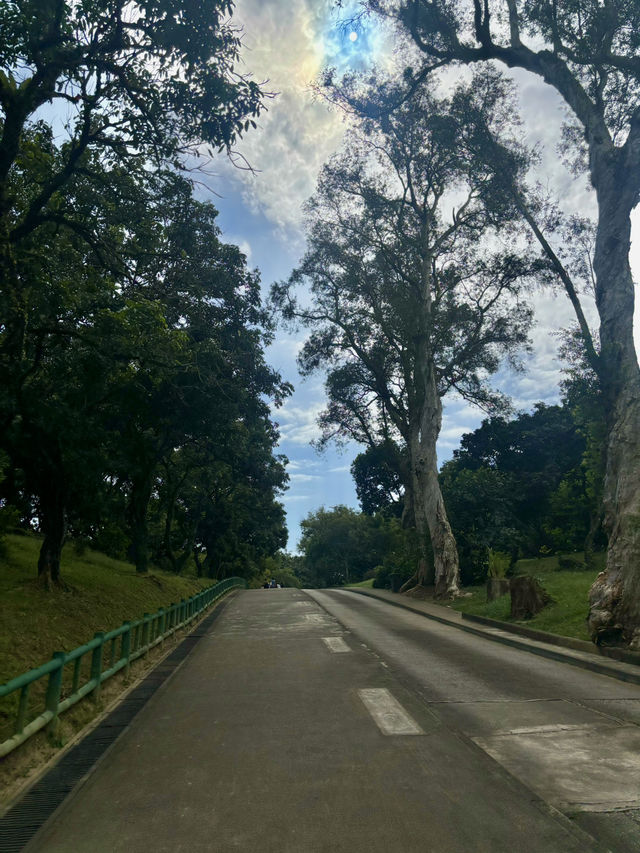 【西貢】蕉坑自然教育徑：星級自然美景，適合初心者的行山徑