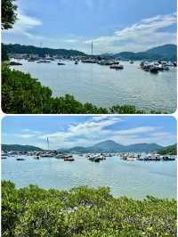 【西貢】蕉坑自然教育徑：星級自然美景，適合初心者的行山徑