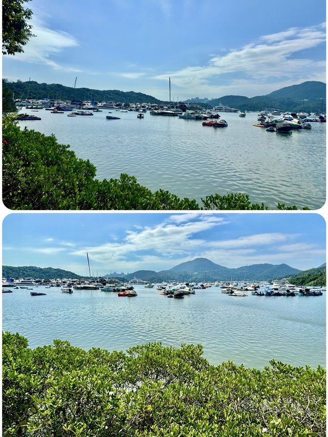 【西貢】蕉坑自然教育徑：星級自然美景，適合初心者的行山徑