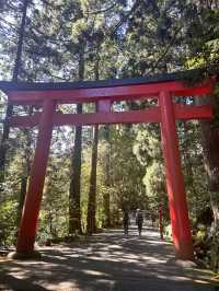 【箱根】箱根の神様にご挨拶✳︎
