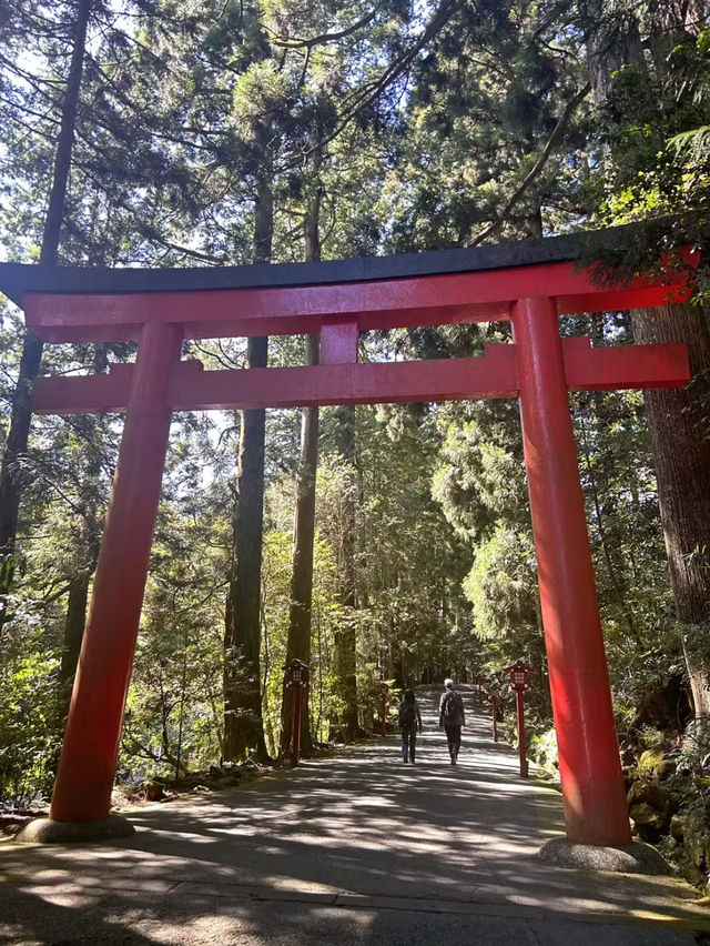 【箱根】箱根の神様にご挨拶✳︎