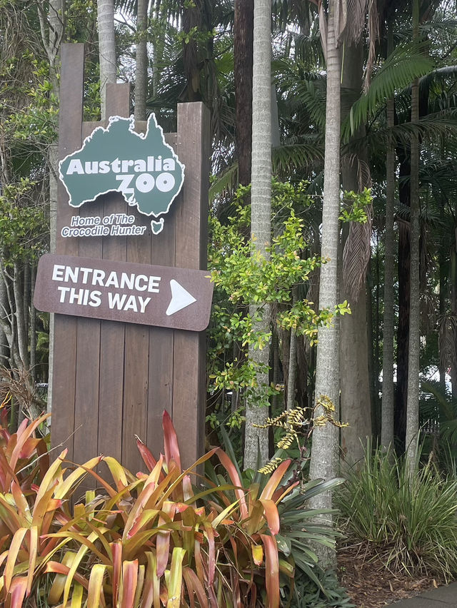 동물들을 가깝게 만나볼 수 있는 호주 브리즈번의 Australia Zoo