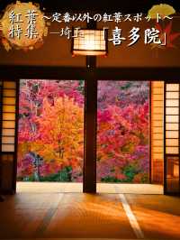 【ここ行って】次の週末以降でもまだ間に合う‼️川越観光ついででも行きたい紅葉スポット🍁