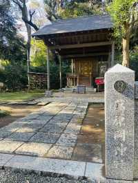 【神奈川県/鎌倉　良縁の縁結びの神社として知られている 『葛原岡神社』】