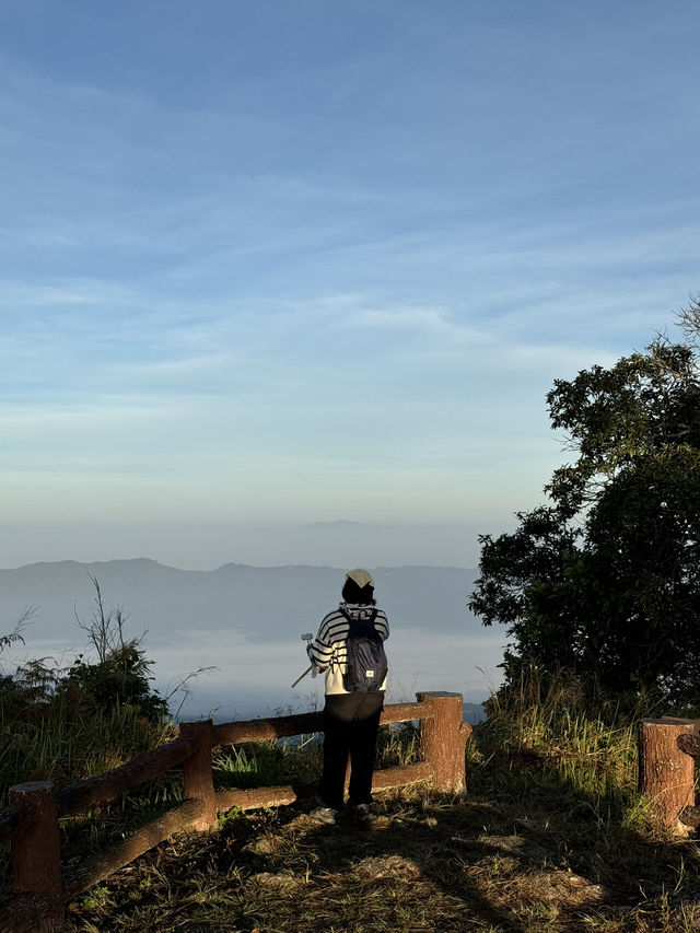 เช้าฤดูหนาวที่ดอยขุนตาล | จ.ลำพูน ⛰️🌿💫🏕️