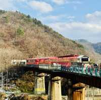 A Breathtaking Ride at Gangchon Rail Park!